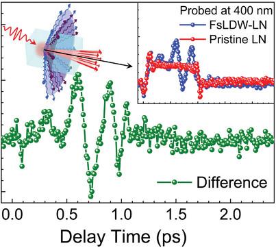 Correlating Double-Cone Polariton Dynamics with Local Femtosecond Laser Modifications in Ultrashort-Pulse-Stimulated Crystals
