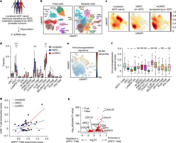 Evolution of myeloid-mediated immunotherapy resistance in prostate cancer