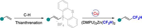 Copper-Catalyzed Difluoromethylation of Alkenyl Thianthrenium Salts