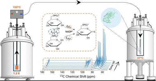 Simultaneous Observation of the Anomerization and Reaction Rates of Enzymatic Dehydrogenation of Glucose-6-Phosphate by Dissolution DNP