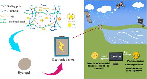 Hydrogel-Based Sensor for the Detection of Iron Ions and Excessive Alerting