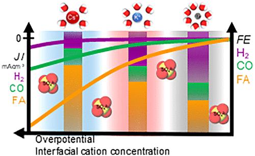 Electrolyte Effects on Electrochemical CO2 Reduction Reaction at Sn Metallic Electrode