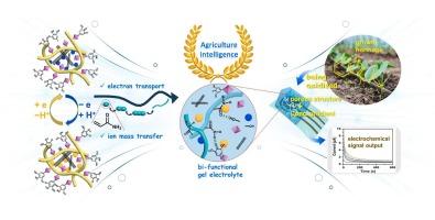 Simple-easy electrochemical sensing mode assisted with integrative carbon-based gel electrolyte for in-situ monitoring of plant hormone indole acetic acid