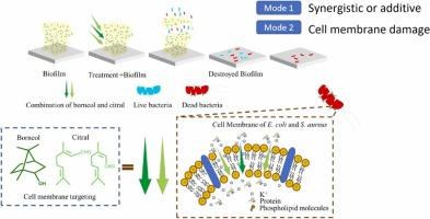 Biofilm inhibition and eradication activity of citral and borneol against foodborne bacteria