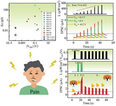 Electro-Optical InGaZnO Synaptic Transistor with Solid State Electrolyte for Pain Perception
