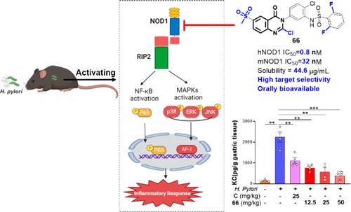Selectively Antagonizing the NOD1-Mediated Inflammatory Signaling Pathway Mitigates the Gastric Inflammation Induced by Helicobacter pylori Infection
