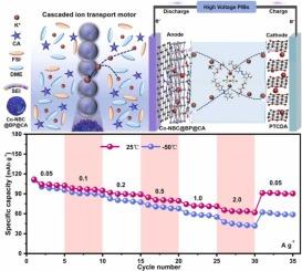 Tailoring black phosphorus nanostructures for high-energy and fast-charging potassium ion batteries: A chemicophysical/electrochemical design strategy