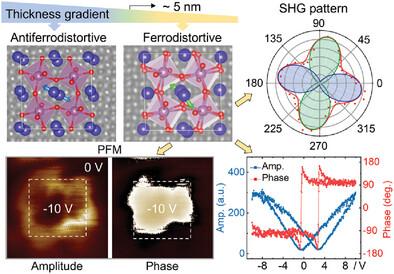 Inverse Size-Scaling Ferroelectricity in Centrosymmetric Insulating Perovskite Oxide DyScO3