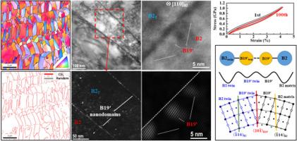 Novel sub-grain structures in B2 of a cold-rolled TiNi shape memory alloy with unique property