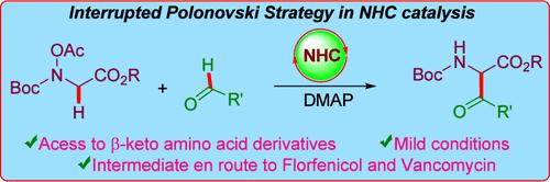 Access to β-Keto Amino Acid Derivatives via Interrupted Polonovski Strategy Involving NHC-Catalyzed Aza Benzoin Reaction