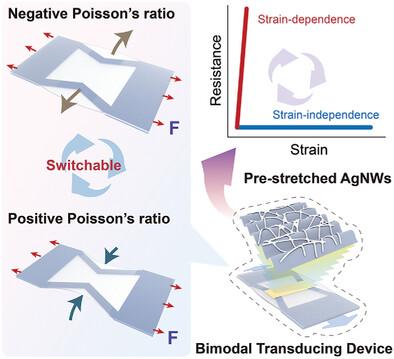 Sign-Switchable Poisson's Ratio Design for Bimodal Strain-to-Electrical Signal Transducing Device