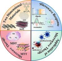 Microwave-responsive two-dimensional materials for microwave therapy of deep tissue diseases