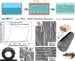 Dual-bionic foam with enhanced energy absorption and superhydrophobicity realized by multiple constrained unidirectional foaming