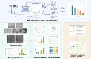 Cold argon plasma-induced aggregated and non-aggregated structural changes in casein and peptidomic insights into allergenicity