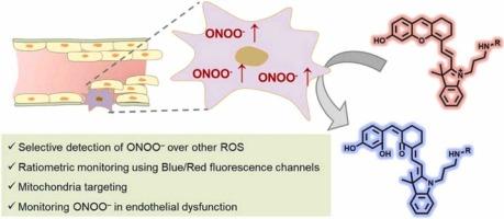 Ratiometric fluorophores to ONOO– in living cells and monitoring endothelial dysfunction