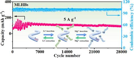 Li+/Mg2+ co-intercalation SnS2-SPAN cathode for super-stable magnesium-based batteries