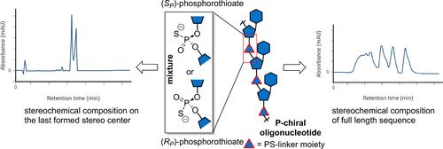 Why and How to Control P-Chirality in Phosphorothioated Therapeutic Oligonucleotides: Analytical Challenges Associated with Determination of Stereochemical Composition