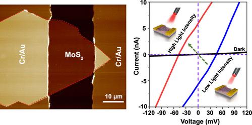 Switchable Photovoltaic Effect Induced by Light Intensity