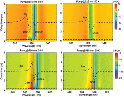 Disentangling Structural Domains in Solution-Processed 2D Lead Halide Perovskite by Transient Absorption Spectroscopy