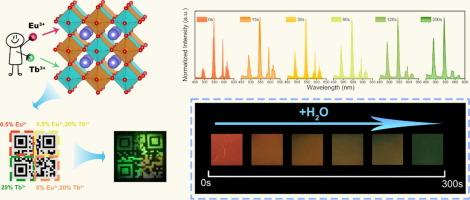 Kinetics-tunable photochromic platform in perovskites for advanced dynamic information encryption
