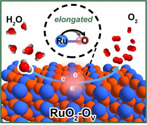 Multitasking-Effect Ca Ions Triggered Symmetry-Breaking of RuO2 Coordination for Acidic Oxygen Evolution Reaction