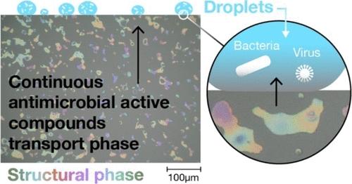 Antimicrobial Biphasic Polymer Coatings Enabled by Fast Diffusion of Active Compounds