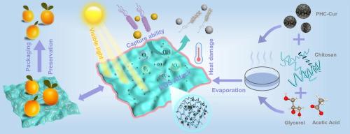 Visible light-trigged photodynamic antibacterial film with mild temperature enhancement for long-term preservation of perishable products