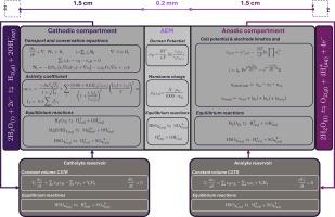 Understanding sulfate transport phenomena during electrochemical acid recovery from waste MgSO4: A modelling approach