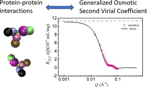 Extracting Orientation and Distance-Dependent Interaction Potentials between Proteins in Solutions Using Small-Angle X-ray/Neutron Scattering