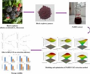 Natural deep eutectic solvents extraction of anthocyanins – effective method for valorisation of black raspberry (Rubus occidentalis L.) pomace