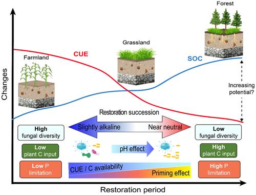 Soil Organic Carbon Increases With Decreasing Microbial Carbon Use Efficiency During Vegetation Restoration