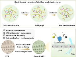 Fabrication of perm-inspired Janus polyester fabric via unilateral surface engineering for unidirectional water transport and antibacterial properties