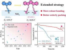 Engineering a thermally robust hole-selective layer for stable flexible perovskite solar cells