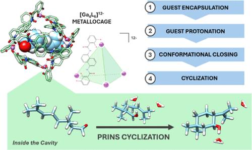 Origin of Catalysis by the [Ga4L6]12– Metallocage on the Prins Reaction