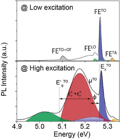 Exciton Thermodynamics in Pure Diamond