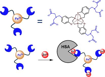 Zn(II)-Responsive MRI Probe Based on an Fe(III) Macrocyclic Complex