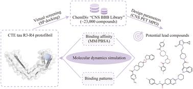 Identification of novel tau positron emission tomography tracers for chronic traumatic encephalopathy by comprehensive in silico screening and molecular dynamics simulation†