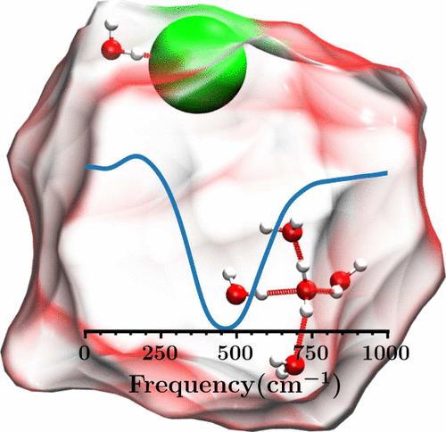 Ion Effects on Terahertz Spectra of Microsolvated Clusters