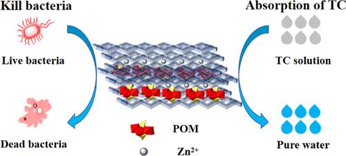 High-Efficiency Broad-Spectrum Antibacterial Activity of Chitosan/Zinc Ion/Polyoxometalate Composite Films for Water Treatment
