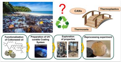 Moving towards sustainability: Assessment of vitrimer behavior and reprocessability of plant oil-based material