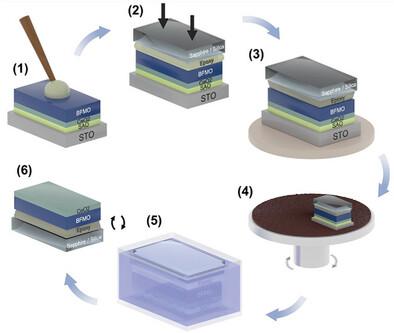 Transfer of Millimeter-Scale Strained Multiferroic Epitaxial Thin Films on Rigid Substrates via an Epoxy Method Producing Magnetic Property Enhancement