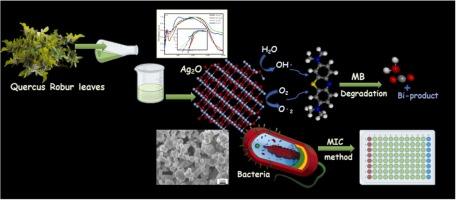 Green synthesis of silver oxide nanoparticles: Eco-friendly approach for sustainable solutions