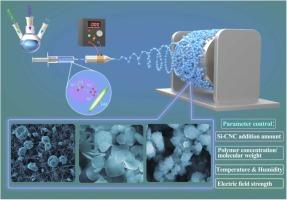 Value-added bio-products extracted from straw utilized as carriers for pesticide delivery: Innovative repurposing of agricultural waste