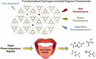 Sour taste sensor based on multiply functionalized hydrogen-bonded organic frameworks for identifying organic acids in food by combining phosphorescence and fluorescence signals