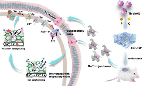 Trojan Horse Bioheterojunction Empowers Adhesive Hydrogel with Robust Antibacterial Activity and Sensing Capacity for Infected Cutaneous Regeneration