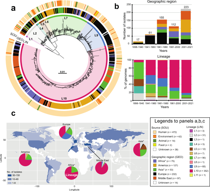 Genomic perspective on the bacillus causing paratyphoid B fever