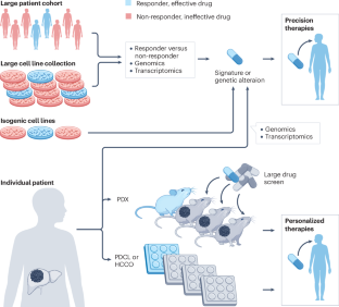 Precision models in hepatocellular carcinoma