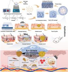 A light-responsive multilayered 3D porous Ga2O3 hydrogel for photocatalytic antibacterial therapy promoting healing of MDR S. aureus-infected wounds