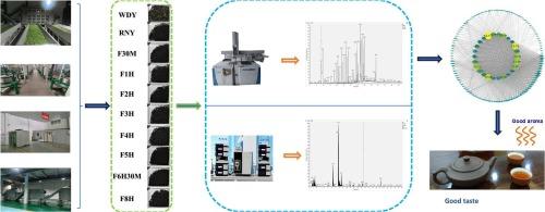 Analysis of changes in flavor characteristics of congou black tea at different fermentation degrees under industrial production conditions using flavor compound weighted network co-expression method