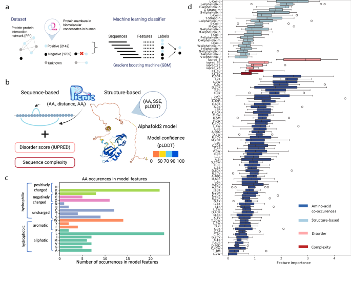 PICNIC accurately predicts condensate-forming proteins regardless of their structural disorder across organisms